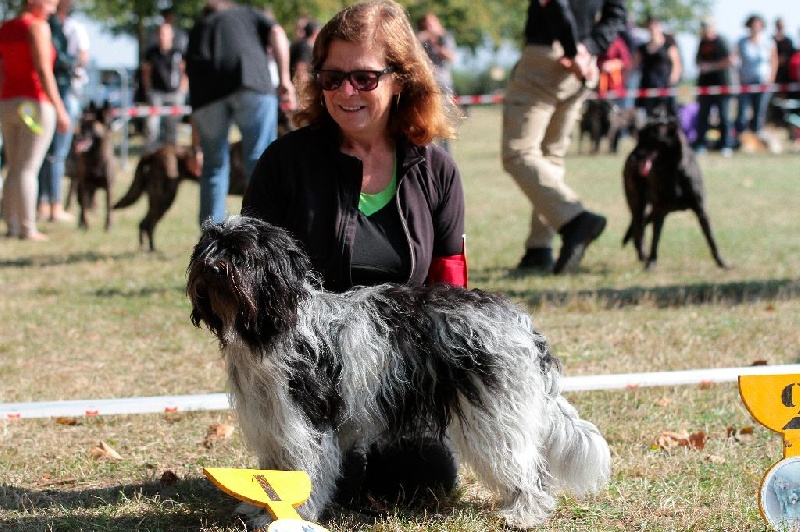 CH. Jonna Du Jardin Des Espiègleries - Nationale d'élevage