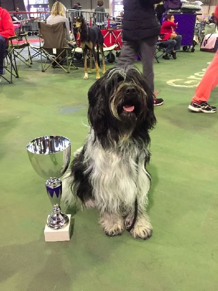 CH. Jonna Du Jardin Des Espiègleries - CACIB