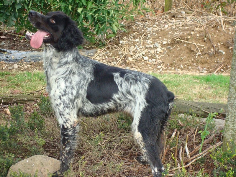 Publication : des sources de rouadan