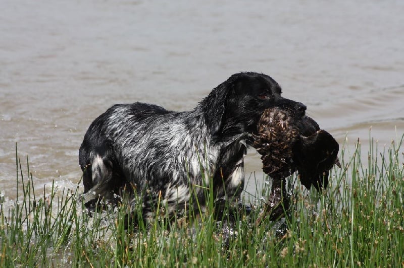 Publication : des sources de rouadan