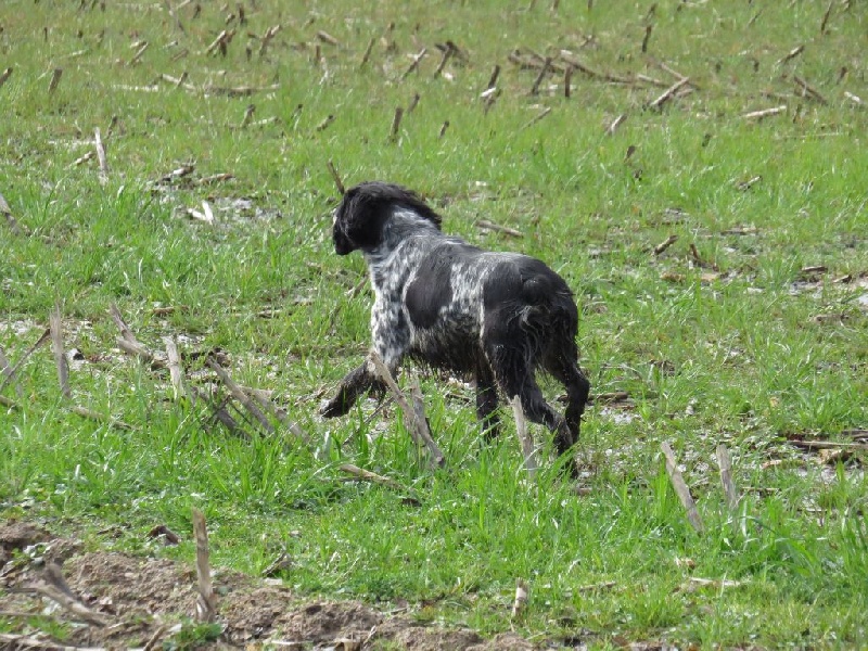 Publication : des sources de rouadan