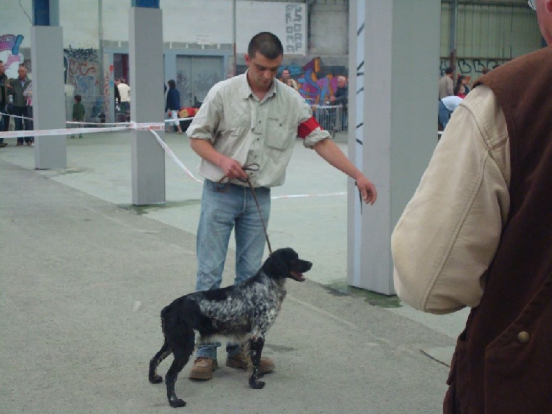 Publication : des sources de rouadan