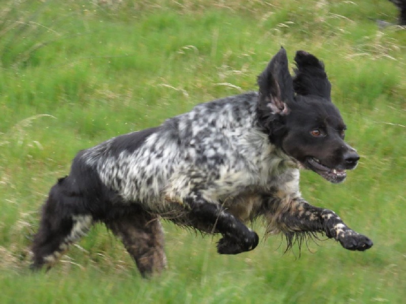 Publication : des sources de rouadan