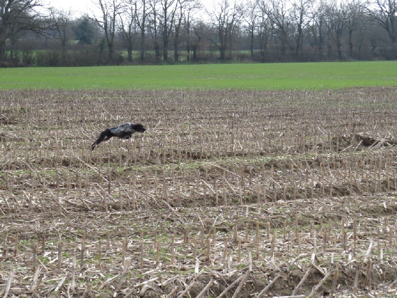 Publication : des sources de rouadan