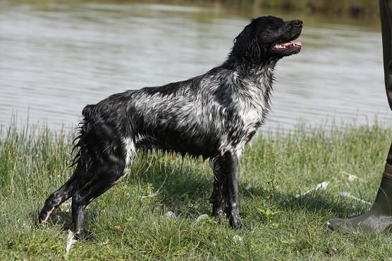 Publication : des sources de rouadan