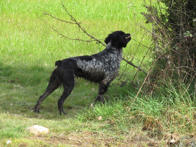 Publication : des sources de rouadan