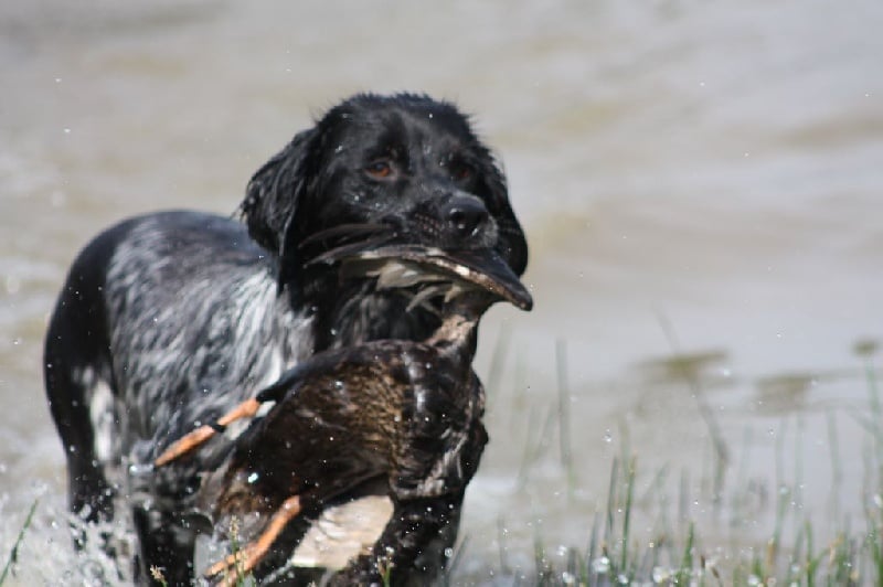 Publication : des sources de rouadan