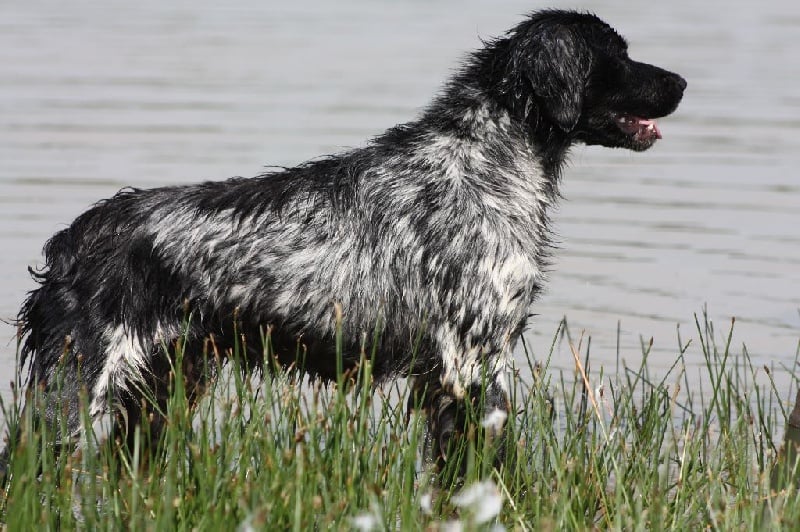 Publication : des sources de rouadan