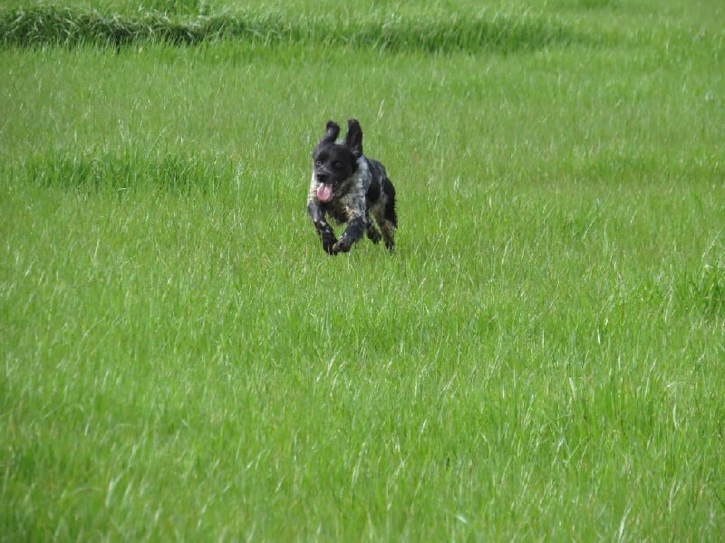 Publication : des sources de rouadan