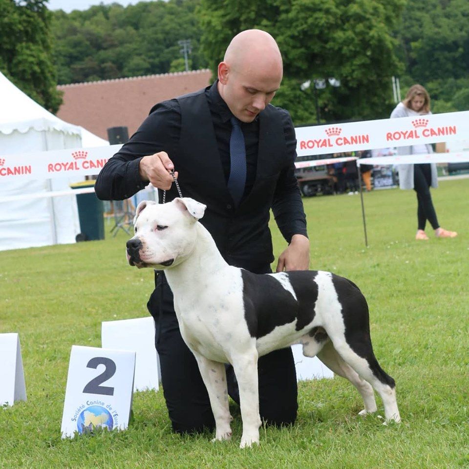 Nuage Du chemin des moulins