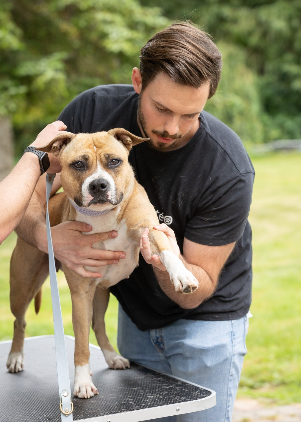 Tex avery bip bip Du chemin des moulins