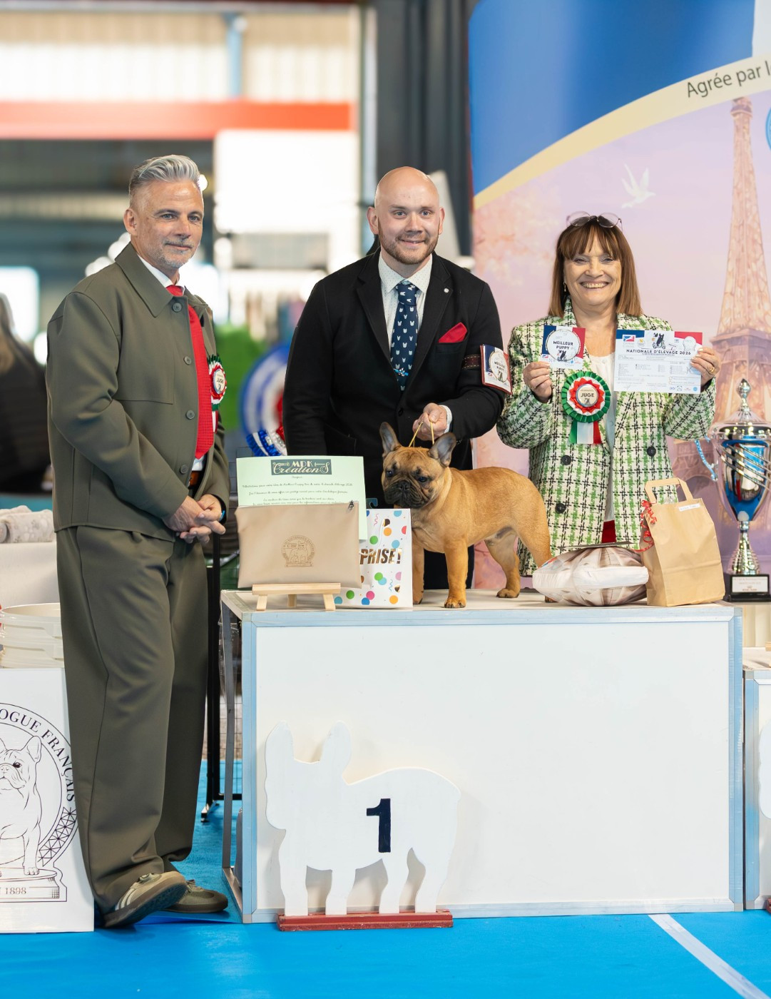 Eiffel  of carbony red panda