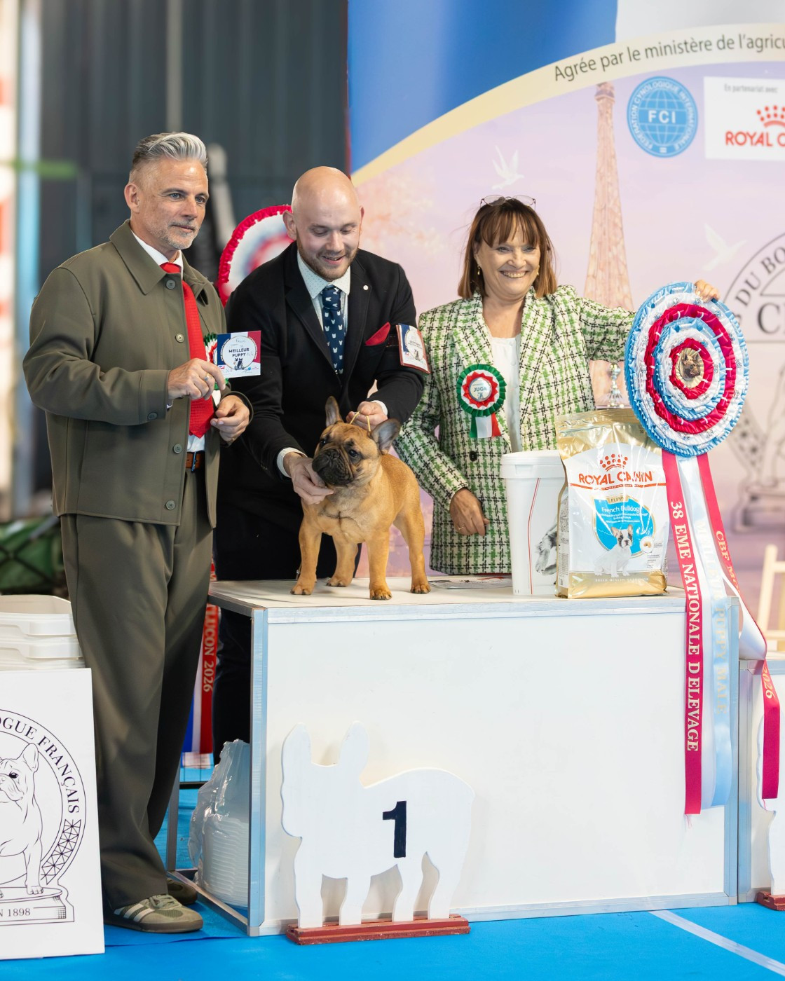 Eiffel  of carbony red panda