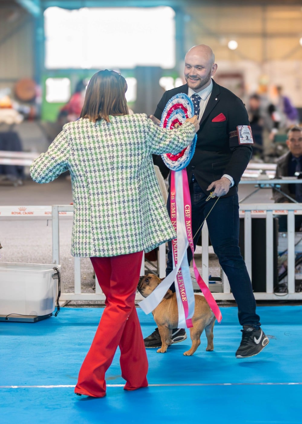 Eiffel  of carbony red panda
