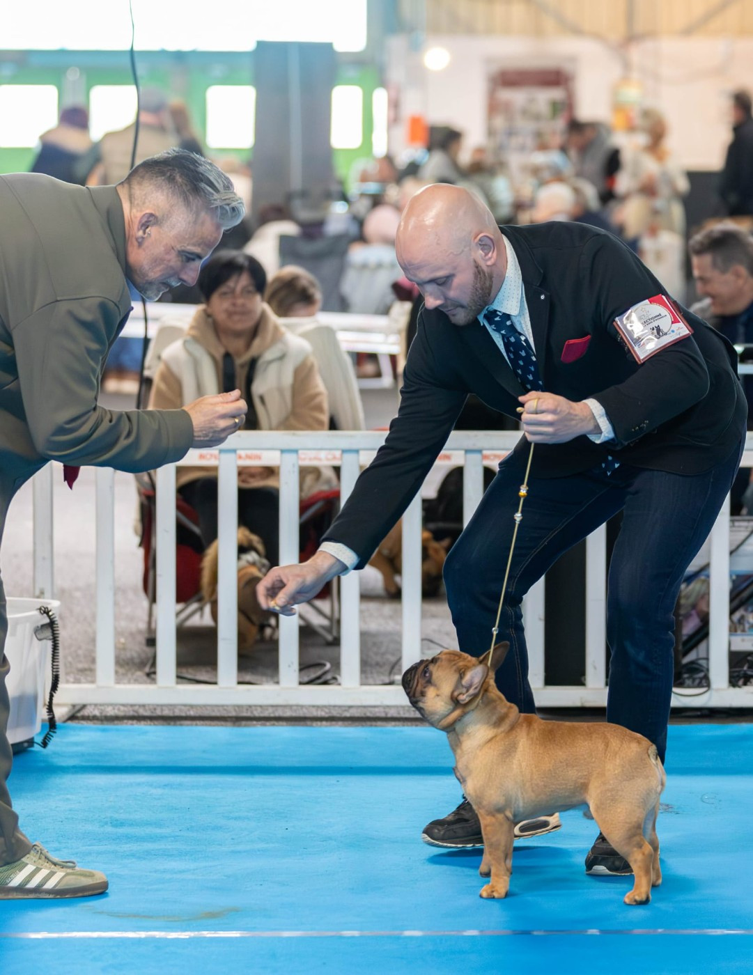 Eiffel  of carbony red panda