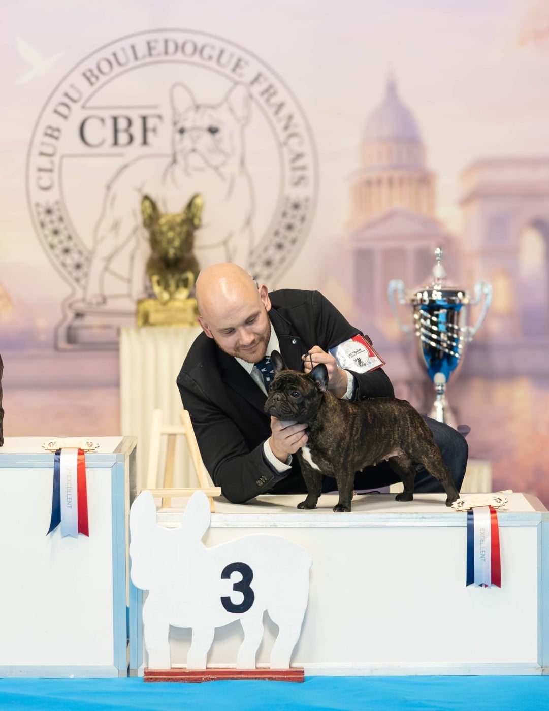 Duchess of carbony red panda