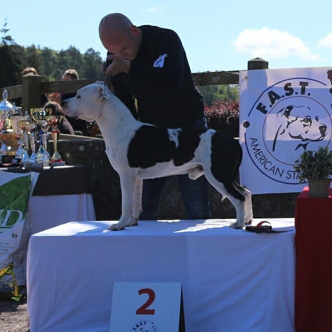 Nuage Du chemin des moulins