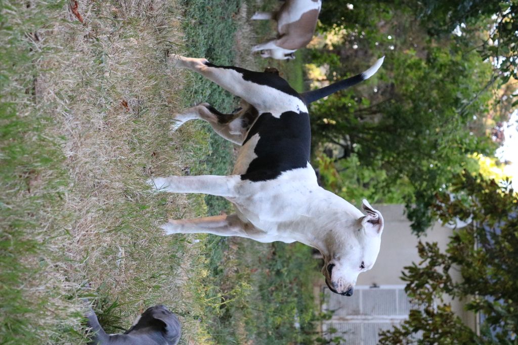 Nuage Du chemin des moulins