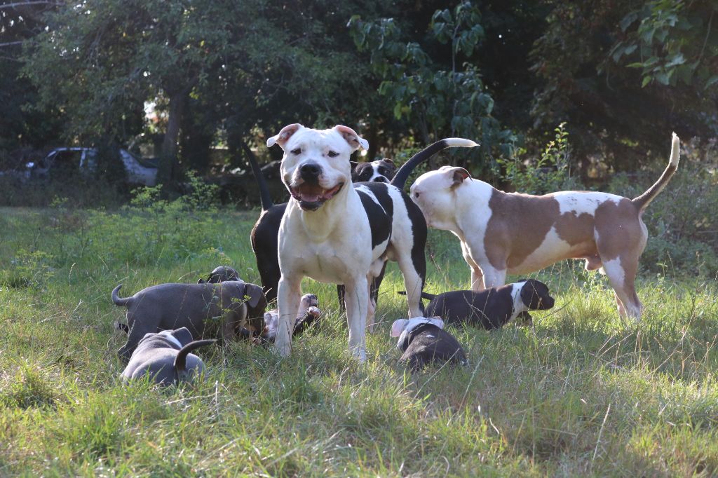 Nuage Du chemin des moulins