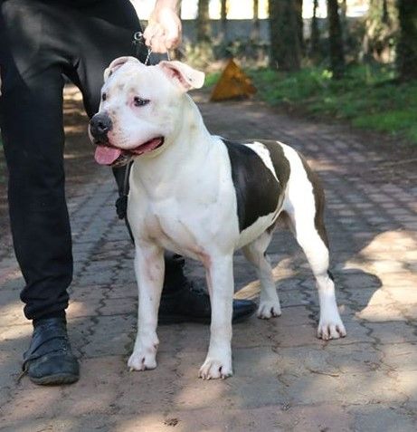 Nuage Du chemin des moulins