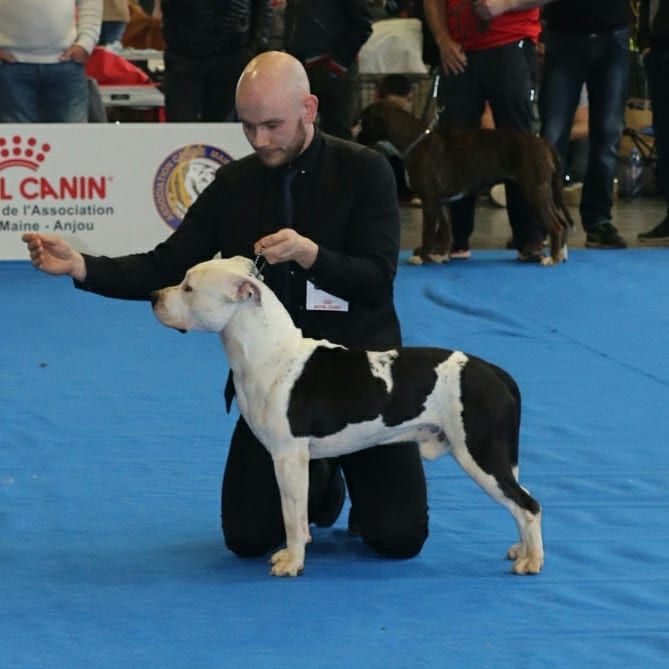 Nuage Du chemin des moulins