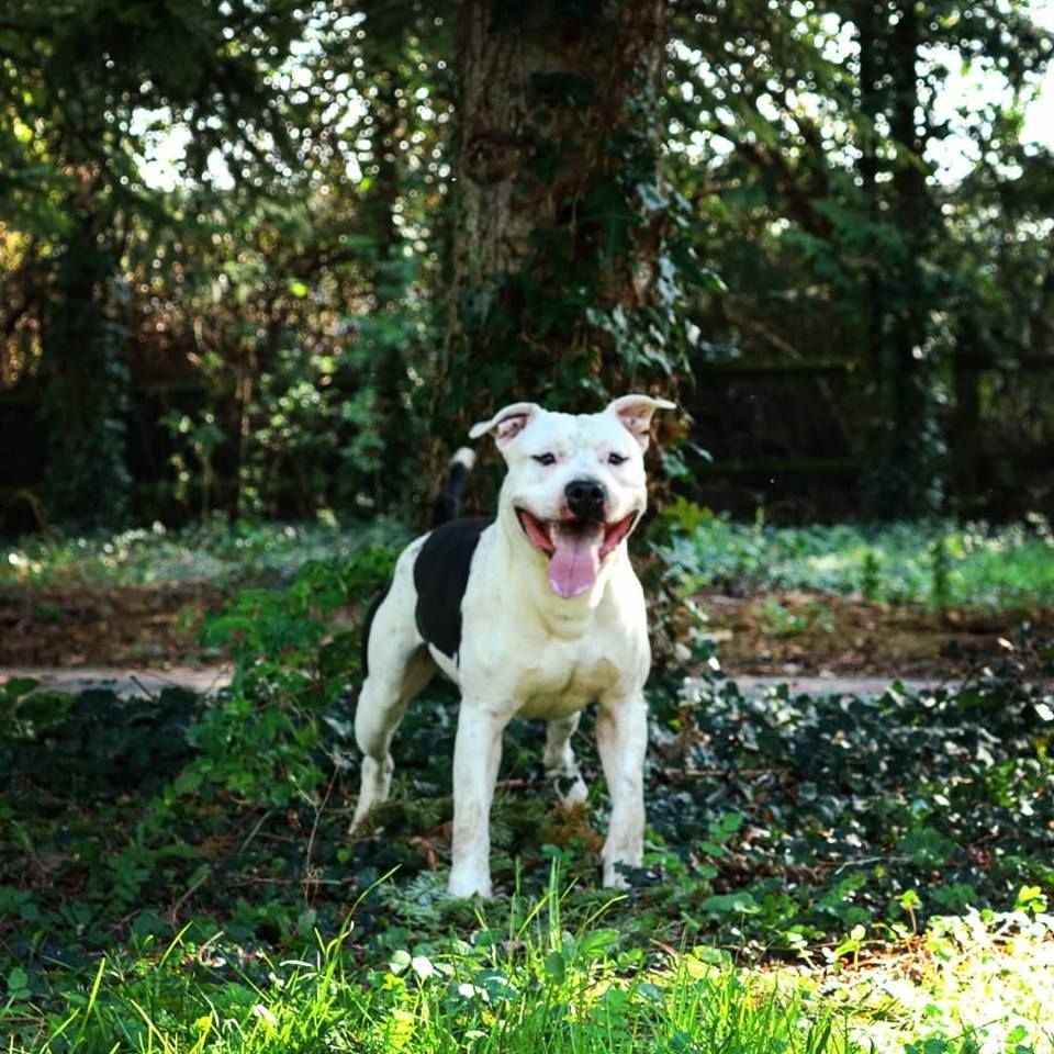 Nuage Du chemin des moulins