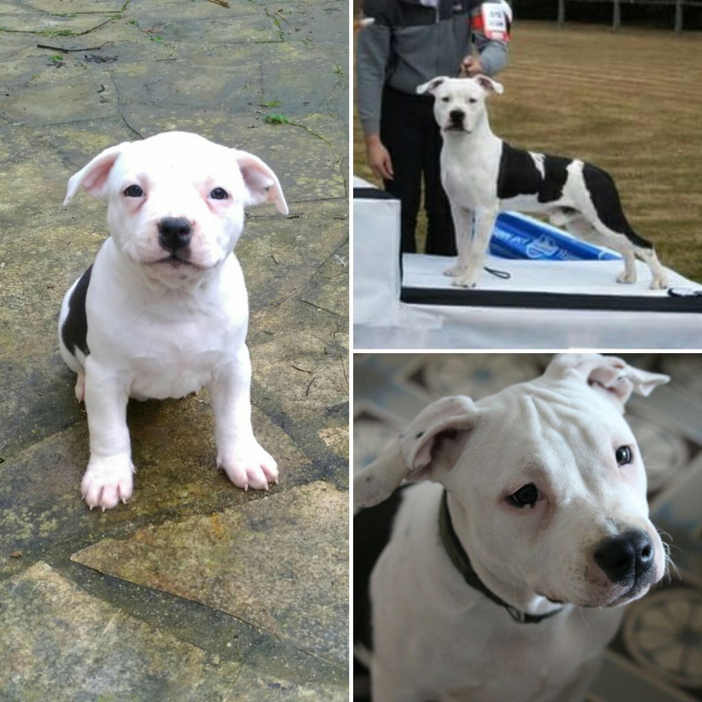 Nuage Du chemin des moulins