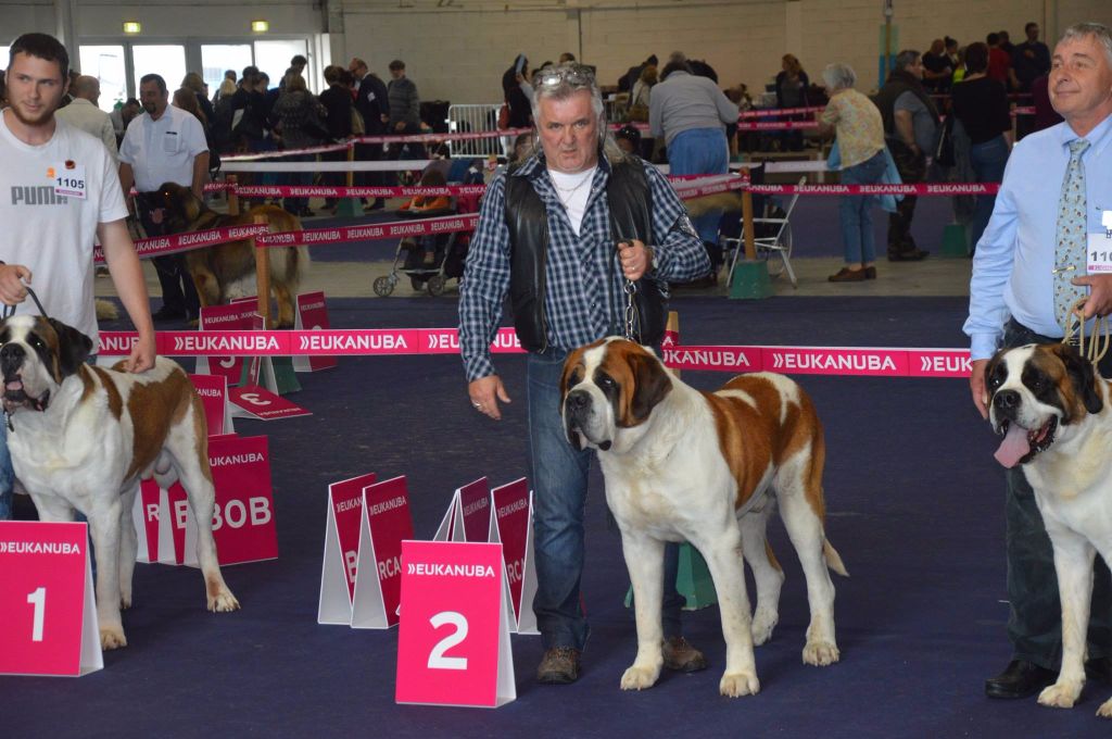 CH. Garou De La Maison Des Tartarin