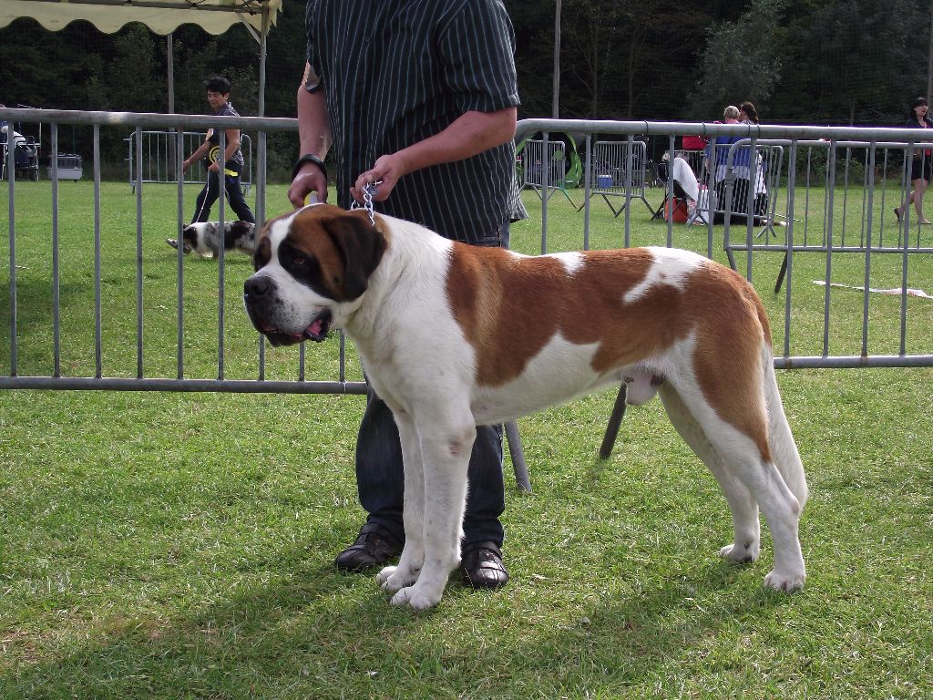 CH. Garou De La Maison Des Tartarin