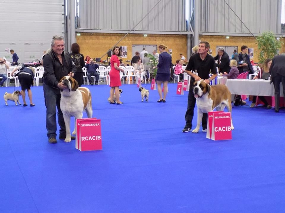 CH. Garou De La Maison Des Tartarin