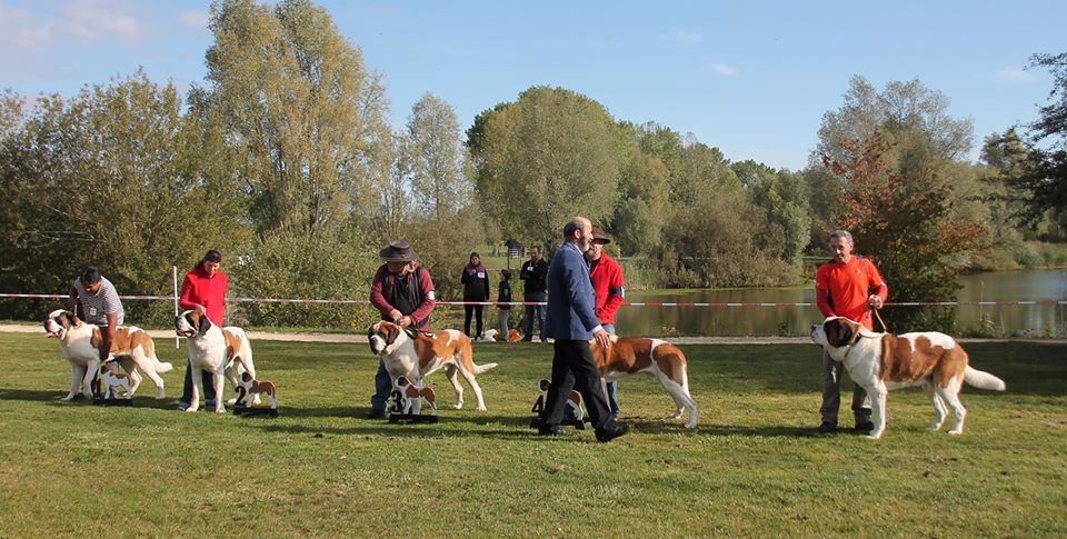 CH. Garou De La Maison Des Tartarin