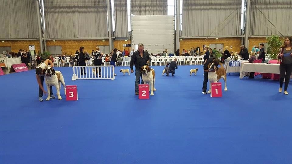 CH. Garou De La Maison Des Tartarin