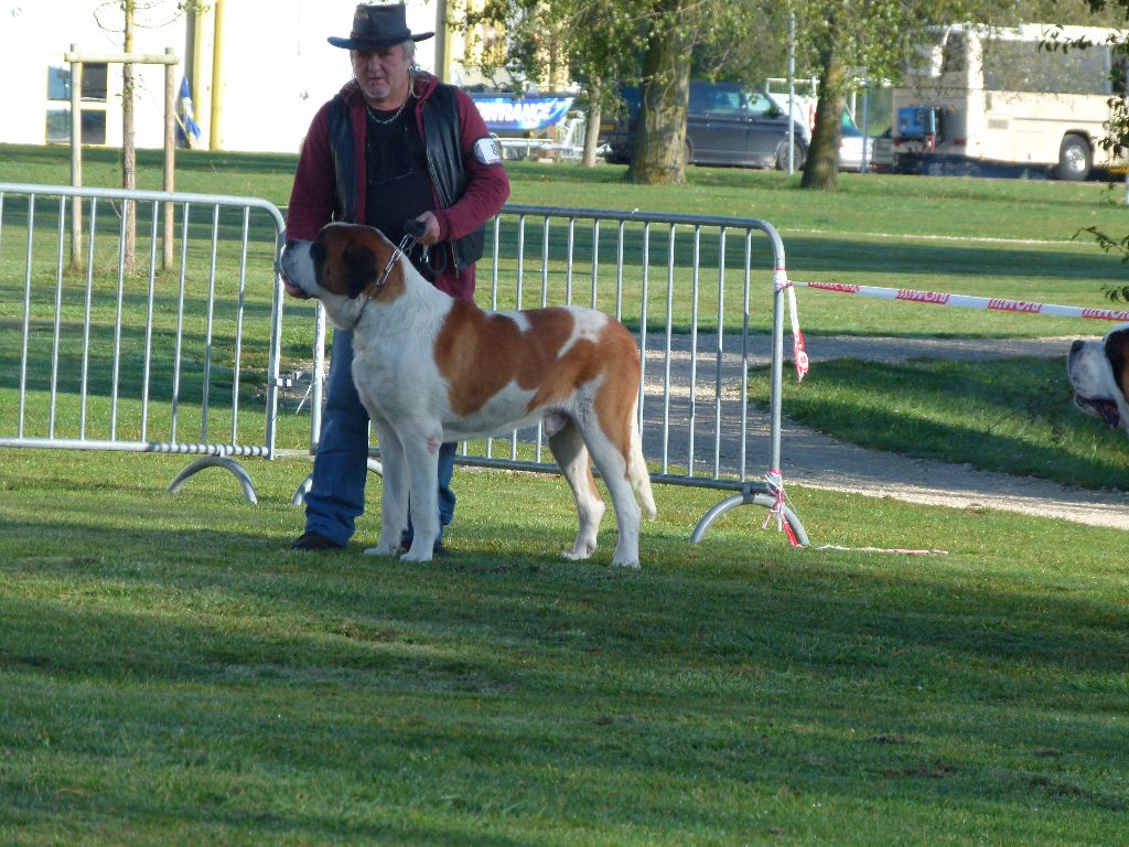 CH. Garou De La Maison Des Tartarin