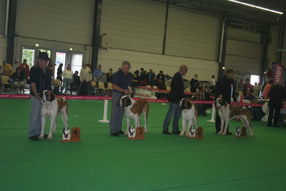 CH. Garou De La Maison Des Tartarin - 4ieme Excellent