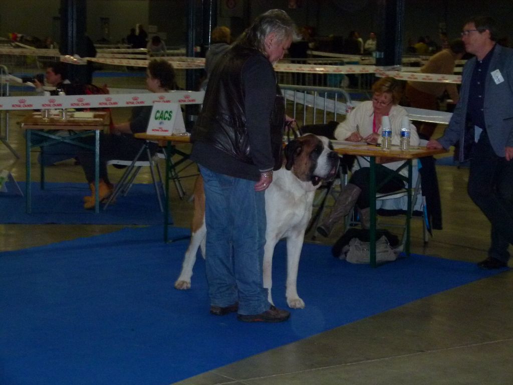 CH. Garou De La Maison Des Tartarin - 1ier Excellent Meilleur de Race cacs