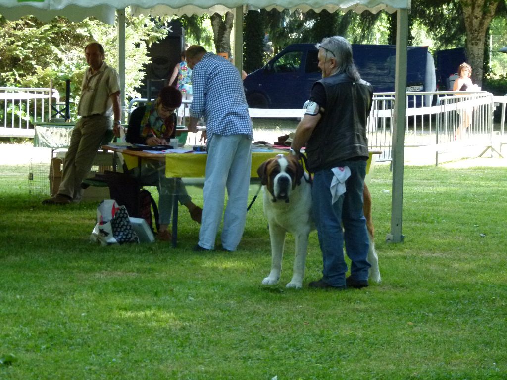 CH. Garou De La Maison Des Tartarin - 1ier Excellent Meilleur de Race cacs