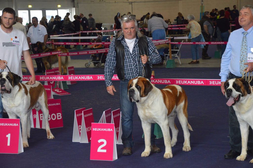 CH. Garou De La Maison Des Tartarin - 2iem Excellent