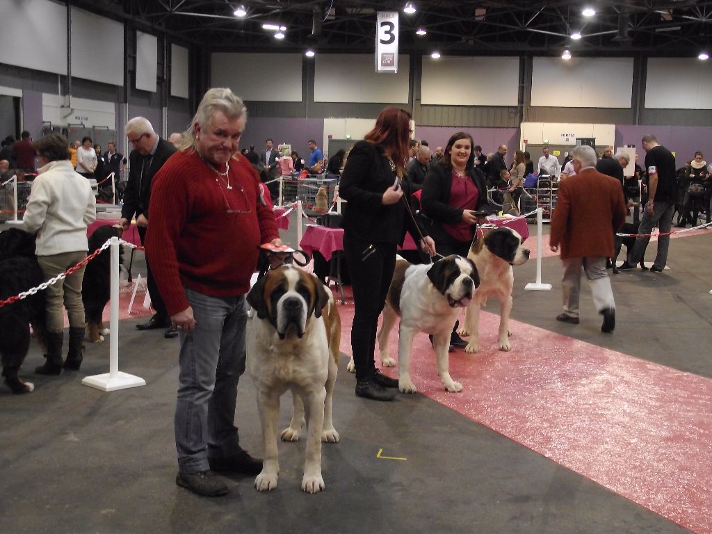 CH. Garou De La Maison Des Tartarin - 1ier Excellent Meilleur de Race cacs cacib