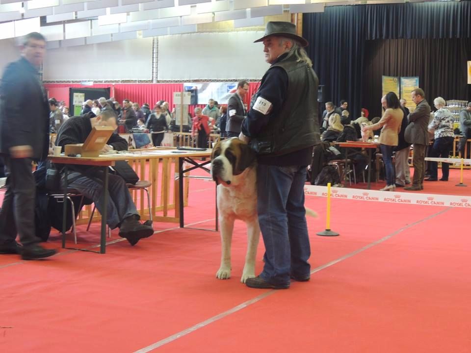 CH. Garou De La Maison Des Tartarin - 1ier Excellent Meilleur de Race cacs