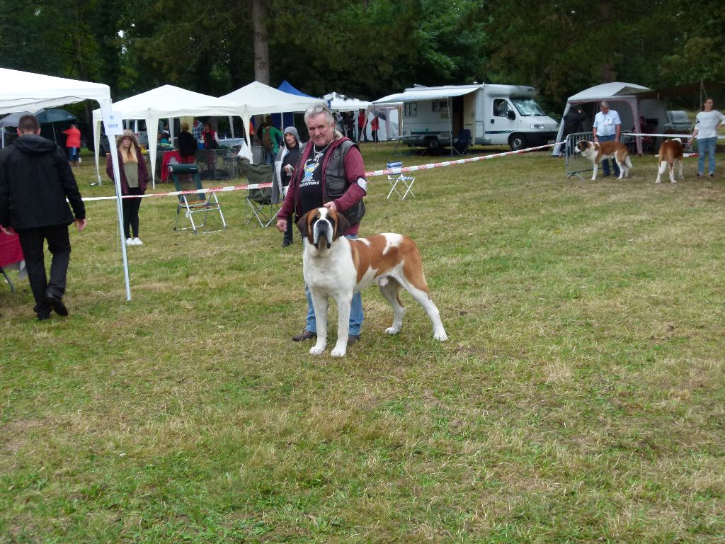 CH. Garou De La Maison Des Tartarin - Tres bon