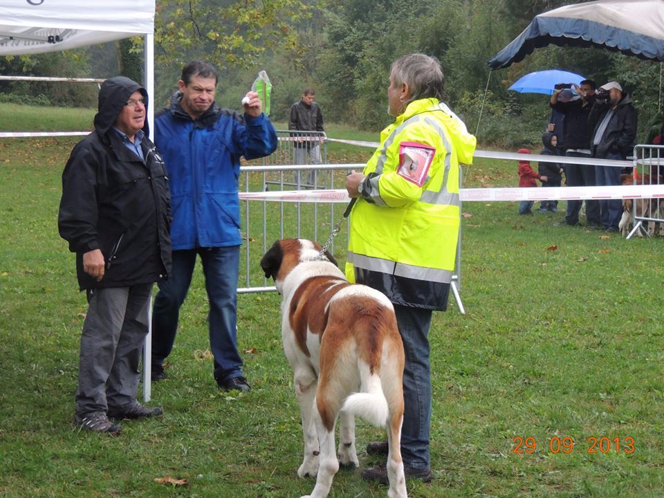 CH. Garou De La Maison Des Tartarin - Excellent
