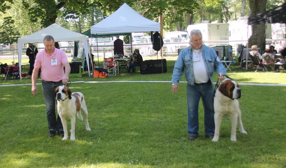 CH. Garou De La Maison Des Tartarin - 1ier Excellent Meilleur de Race sexe opposé cacs