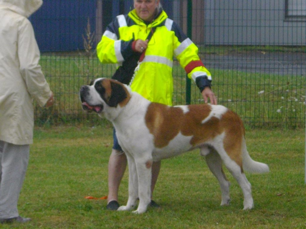 CH. Garou De La Maison Des Tartarin - 1ier Excellent Meilleur de Race cacs