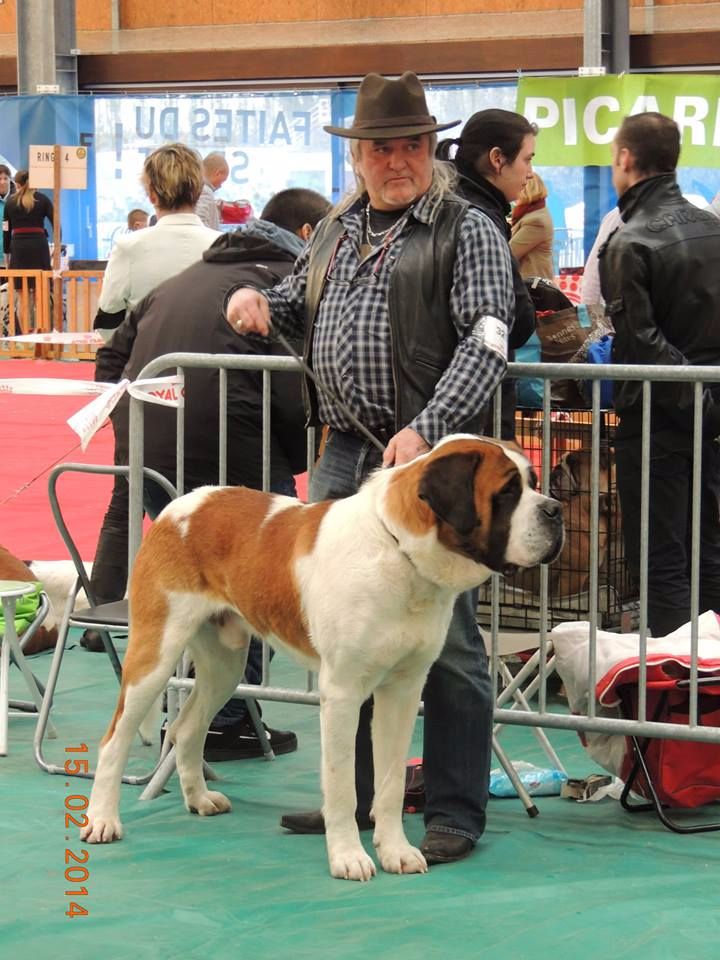 CH. Garou De La Maison Des Tartarin - 1ier Excellent Meilleur de Race cacs