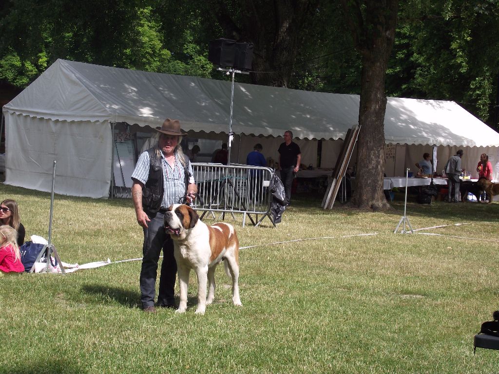 CH. Garou De La Maison Des Tartarin - Excellent +