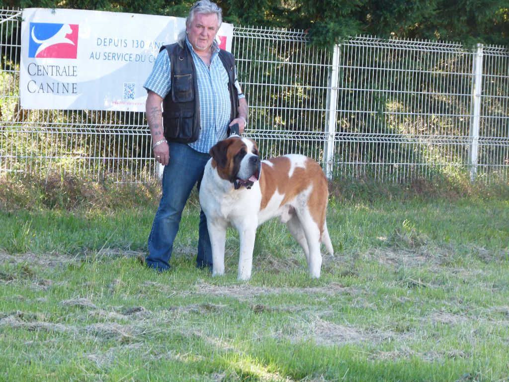 CH. Garou De La Maison Des Tartarin - Excellent