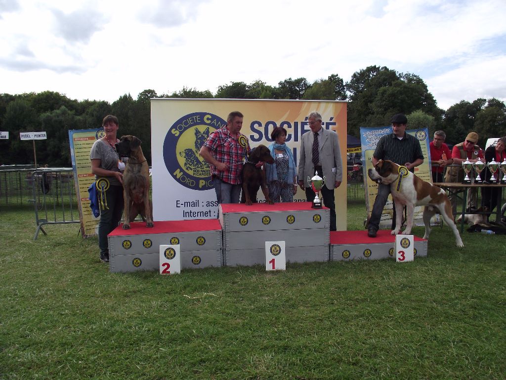 CH. Garou De La Maison Des Tartarin - 1ier Excellent Meilleur de Race cacs + 3iemde la categorie 2 sur le ring d'honeu