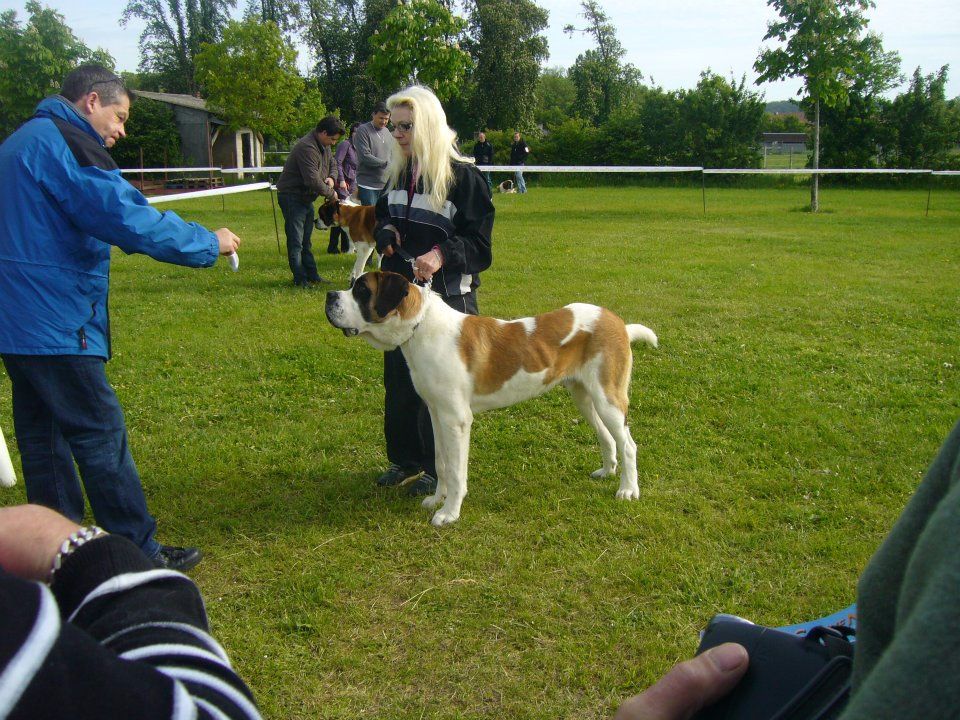 CH. Garou De La Maison Des Tartarin - Tres bon