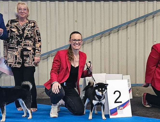 Uzume azore De Matatizo Hakuna - 2ème Excellent en Classe jeune