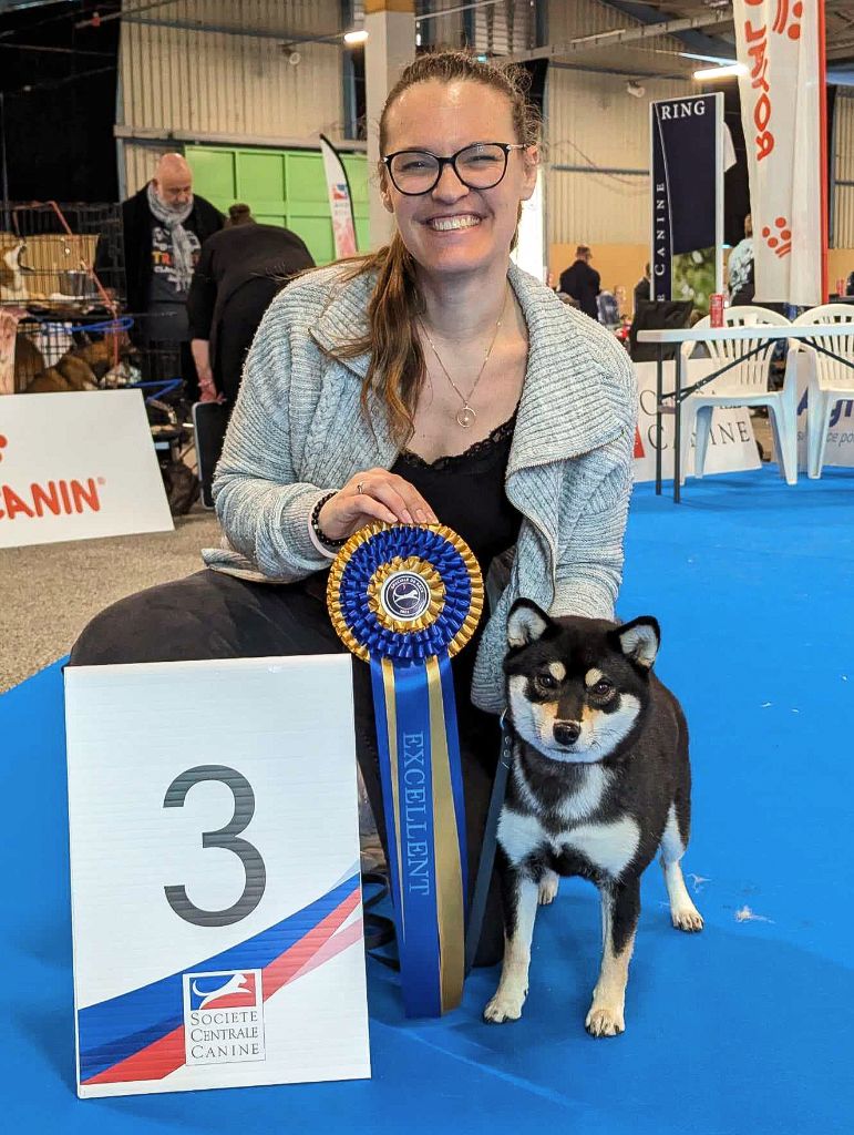 Uzume azore De Matatizo Hakuna - 3ème Excellent en Classe jeune